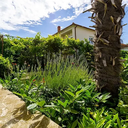 Διαμέρισμα Vinko Τρογκίρ